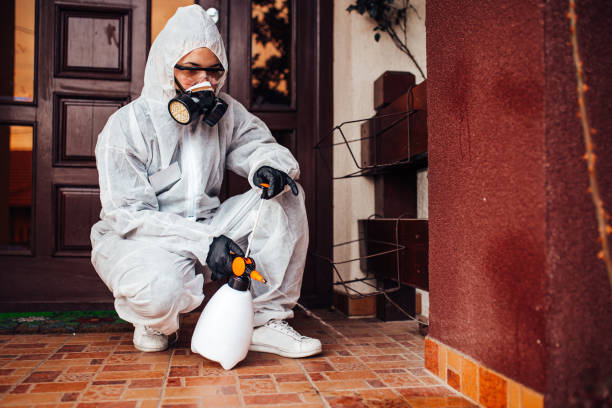 Attic and Crawl Space Rodent Treatment in Moscow